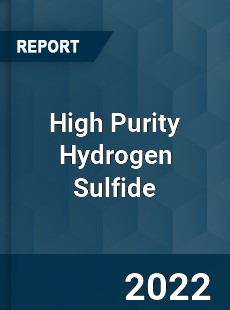 High Purity Hydrogen Sulfide Market