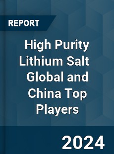 High Purity Lithium Salt Global and China Top Players Market