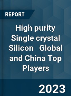 High purity Single crystal Silicon Global and China Top Players Market