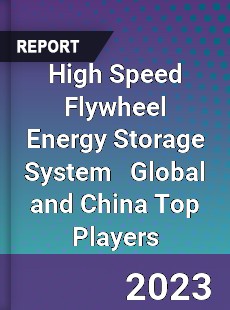 High Speed Flywheel Energy Storage System Global and China Top Players Market