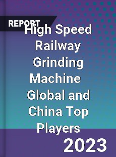 High Speed Railway Grinding Machine Global and China Top Players Market