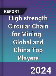 High strength Circular Chain for Mining Global and China Top Players Market