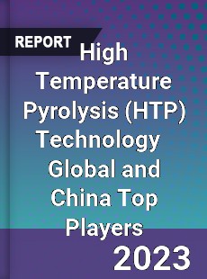 High Temperature Pyrolysis Technology Global and China Top Players Market