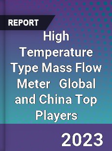 High Temperature Type Mass Flow Meter Global and China Top Players Market