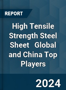 High Tensile Strength Steel Sheet Global and China Top Players Market