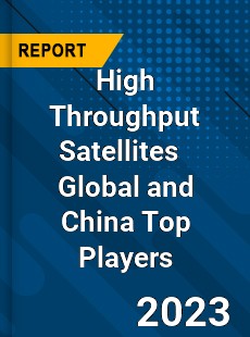 High Throughput Satellites Global and China Top Players Market