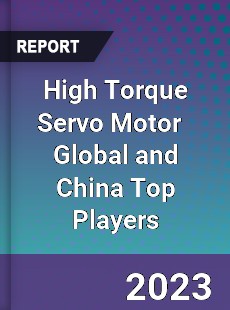 High Torque Servo Motor Global and China Top Players Market