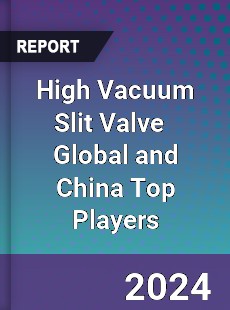 High Vacuum Slit Valve Global and China Top Players Market