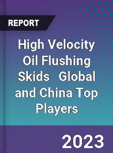 High Velocity Oil Flushing Skids Global and China Top Players Market