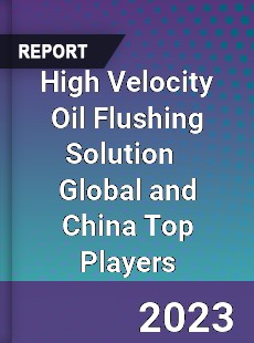 High Velocity Oil Flushing Solution Global and China Top Players Market