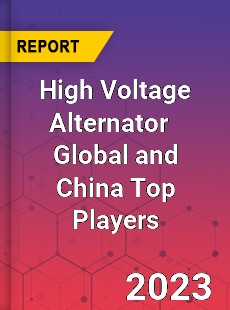 High Voltage Alternator Global and China Top Players Market