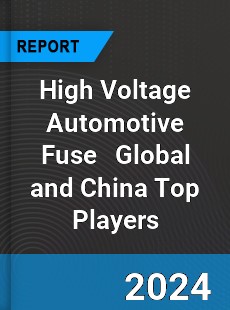 High Voltage Automotive Fuse Global and China Top Players Market