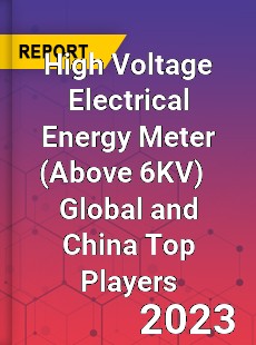 High Voltage Electrical Energy Meter Global and China Top Players Market