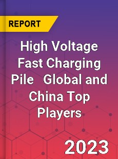 High Voltage Fast Charging Pile Global and China Top Players Market