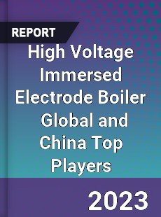 High Voltage Immersed Electrode Boiler Global and China Top Players Market