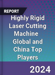 Highly Rigid Laser Cutting Machine Global and China Top Players Market