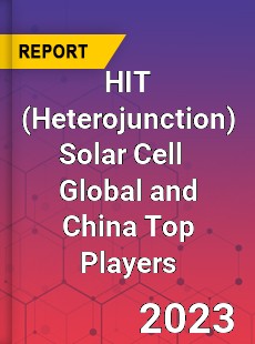 HIT Solar Cell Global and China Top Players Market