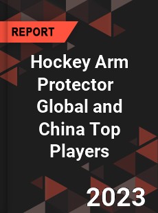 Hockey Arm Protector Global and China Top Players Market