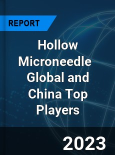 Hollow Microneedle Global and China Top Players Market