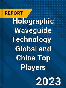 Holographic Waveguide Technology Global and China Top Players Market