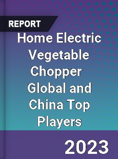 Home Electric Vegetable Chopper Global and China Top Players Market