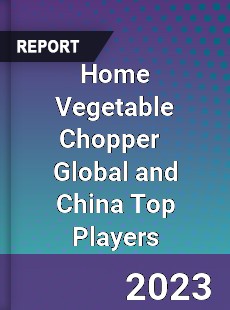 Home Vegetable Chopper Global and China Top Players Market