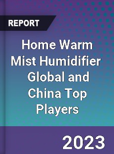 Home Warm Mist Humidifier Global and China Top Players Market