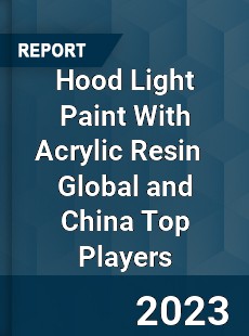 Hood Light Paint With Acrylic Resin Global and China Top Players Market