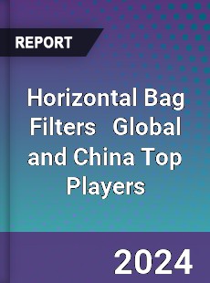 Horizontal Bag Filters Global and China Top Players Market