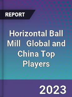 Horizontal Ball Mill Global and China Top Players Market