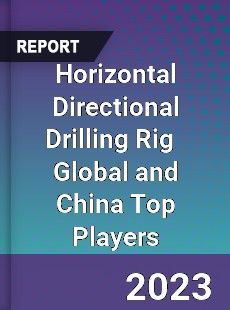 Horizontal Directional Drilling Rig Global and China Top Players Market