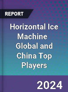 Horizontal Ice Machine Global and China Top Players Market