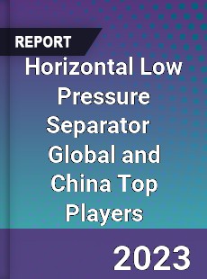 Horizontal Low Pressure Separator Global and China Top Players Market