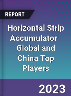 Horizontal Strip Accumulator Global and China Top Players Market