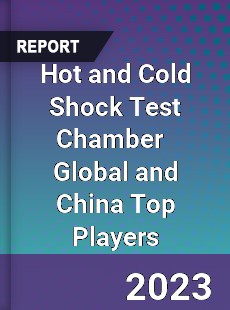 Hot and Cold Shock Test Chamber Global and China Top Players Market