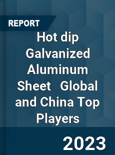 Hot dip Galvanized Aluminum Sheet Global and China Top Players Market