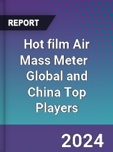 Hot film Air Mass Meter Global and China Top Players Market