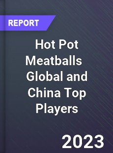 Hot Pot Meatballs Global and China Top Players Market