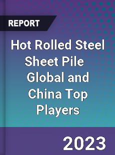 Hot Rolled Steel Sheet Pile Global and China Top Players Market
