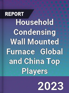 Household Condensing Wall Mounted Furnace Global and China Top Players Market