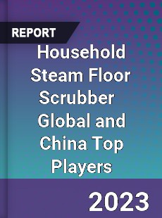 Household Steam Floor Scrubber Global and China Top Players Market