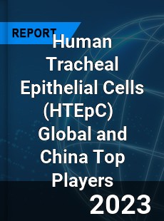 Human Tracheal Epithelial Cells Global and China Top Players Market