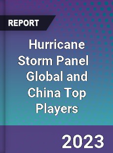 Hurricane Storm Panel Global and China Top Players Market