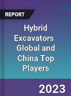 Hybrid Excavators Global and China Top Players Market