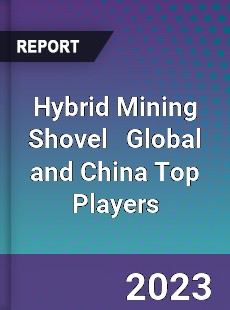 Hybrid Mining Shovel Global and China Top Players Market