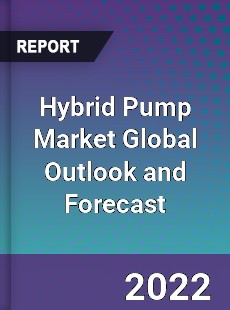 Hybrid Pump Market Global Outlook and Forecast