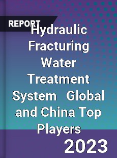 Hydraulic Fracturing Water Treatment System Global and China Top Players Market