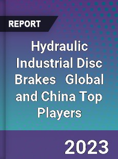 Hydraulic Industrial Disc Brakes Global and China Top Players Market