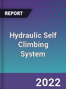 Hydraulic Self Climbing System Market