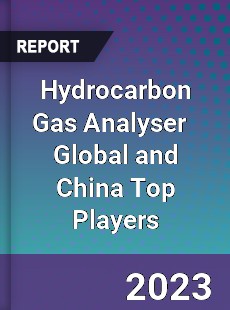 Hydrocarbon Gas Analyser Global and China Top Players Market